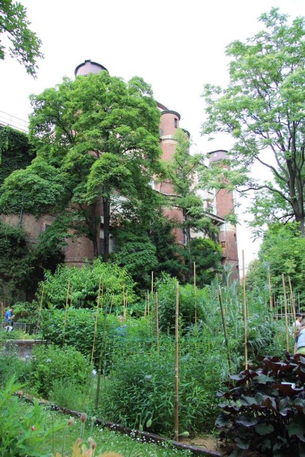 10341543_10152415440699144_9098144981517710049_n