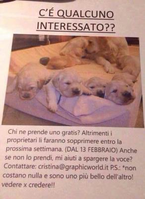 16426012_10212109133110097_5259825400972089290_n